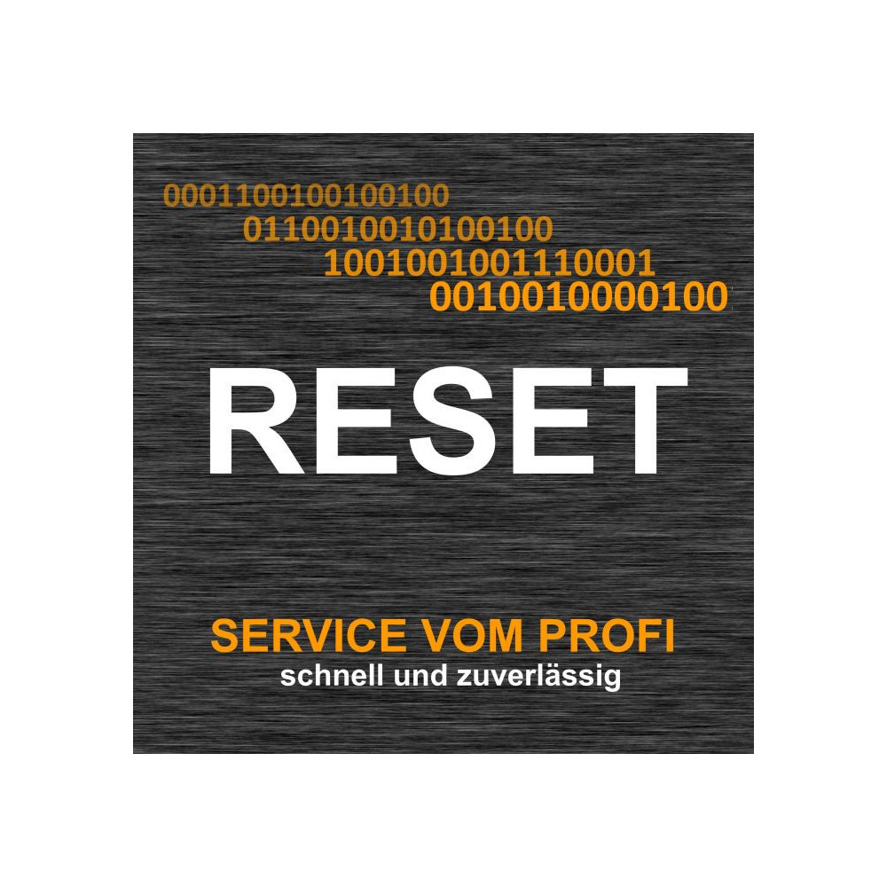 Reset Service für Renault Steuergerät für Servolenkung 8200 294 976 A 8200294976A