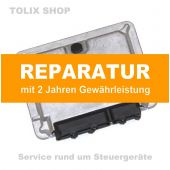 Reparatur Motorsteuergerät ECU 038906013xx 038 906 013 xx für VW & Seat SDI